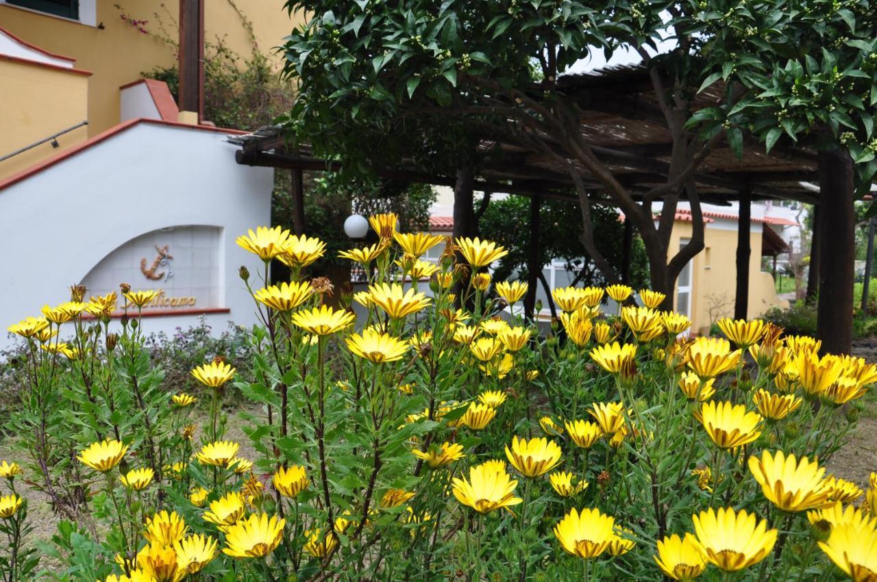 Hotel La Marticana Ischia Buitenkant foto