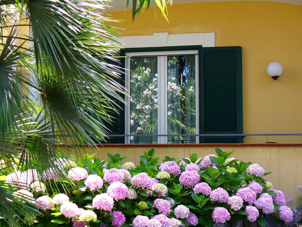 Hotel La Marticana Ischia Buitenkant foto