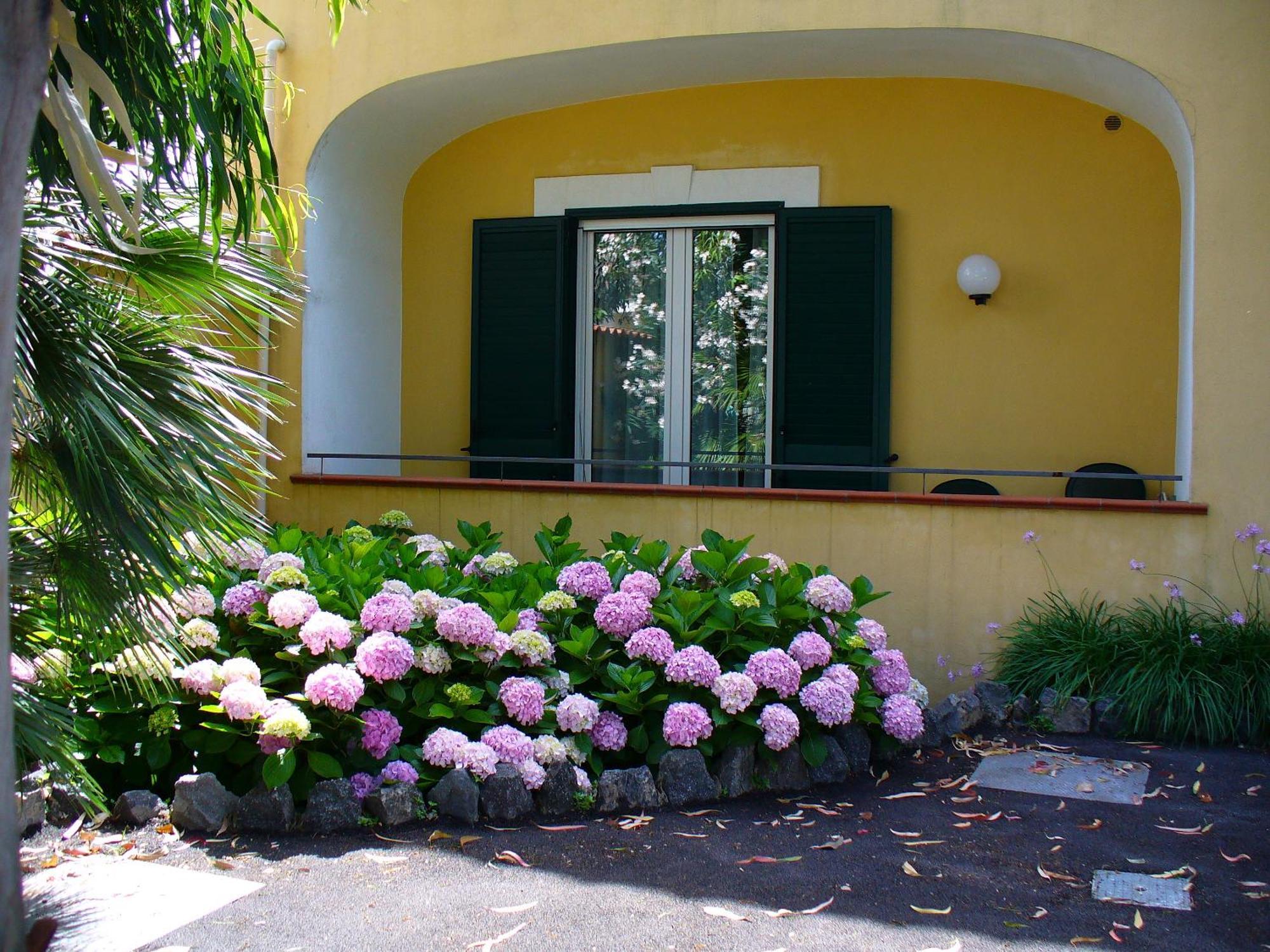 Hotel La Marticana Ischia Buitenkant foto