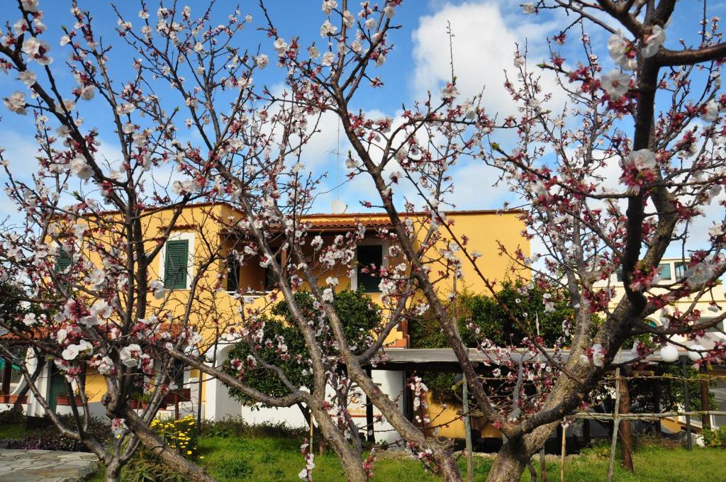 Hotel La Marticana Ischia Buitenkant foto