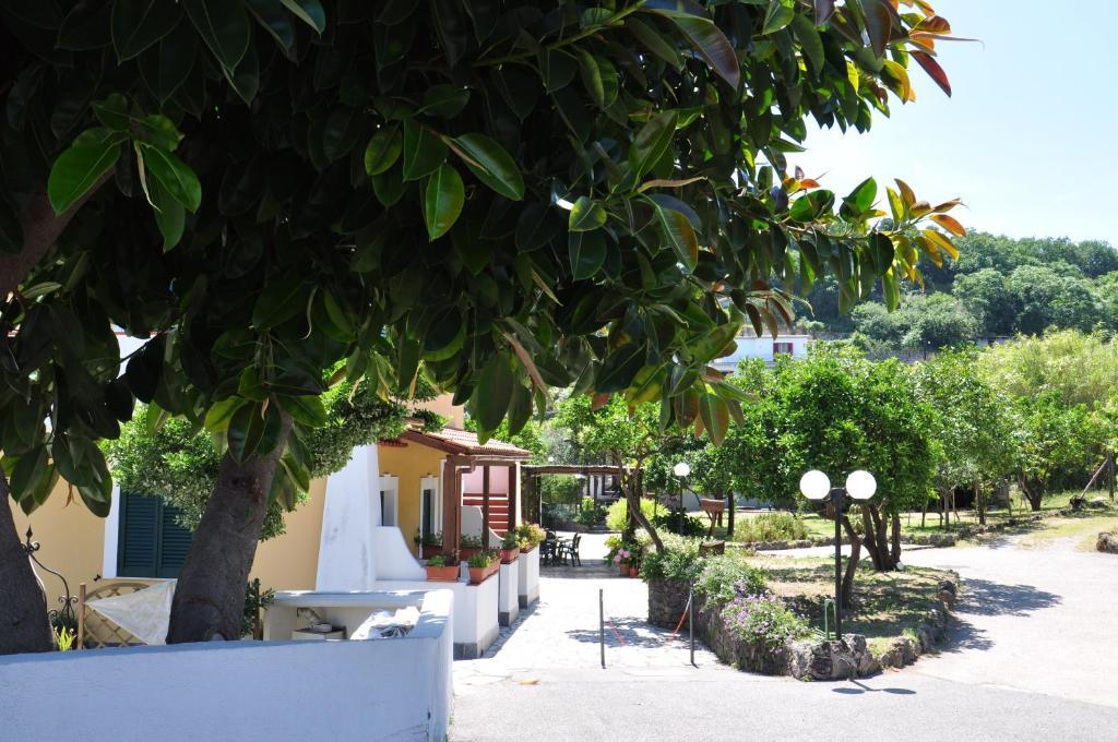 Hotel La Marticana Ischia Buitenkant foto