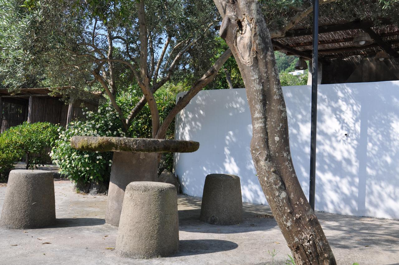 Hotel La Marticana Ischia Buitenkant foto
