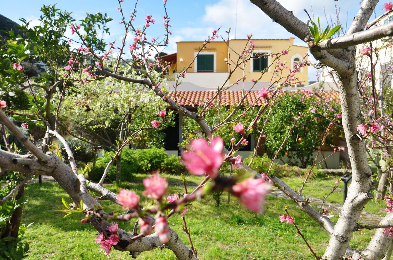 Hotel La Marticana Ischia Buitenkant foto